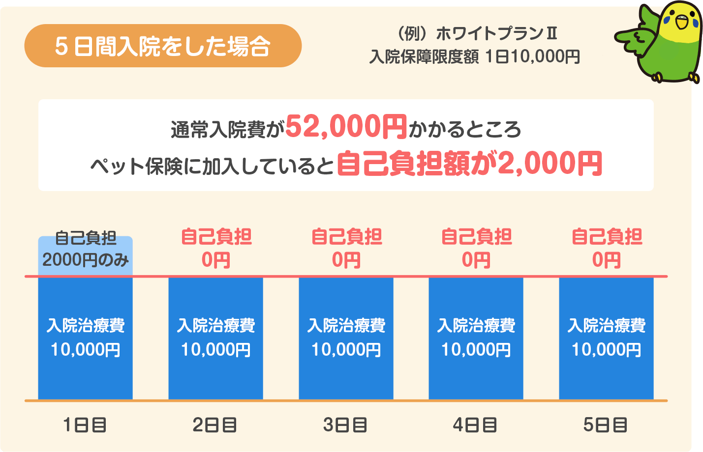 5日間入院をした場合の保険料（ホワイトプラン）